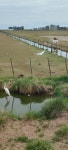 San Martin 53, B1846EWN, B1846 Casbas, Provincia de Buenos Aires, Argentina on 2024년 09월 07일 (토) at 12:04 오후 by Gise Stroh... 