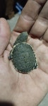Phrynops hilarii from H3514, Chaco, Argentina on 2025년 01월 30일 (목) at 09:15 오후 by Juan Pablo Moschen Selva. La tuve que... 