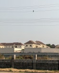 Elanus caeruleus caeruleus from Gwarinpa Estate, Abuja 900108, Federal Capital Territory, Nigeria on 2025년 02월 21일 (금) at... 
