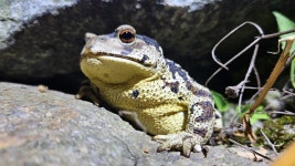 두꺼비 from 대한민국 경기도 의정부시 동일로122번길 on 2025년 07월 09일 (수) at 09:32 오후 by nonext(공인인증서)... 