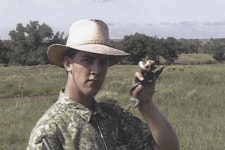 Coluber constrictor flaviventris from Cimarron National Grasslands on 2003년 06월 28일 (토) by Kenneth Bader. individual #2... 