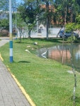 중대백로 from Rua Jose Francisco Sodre 579 - Praia João Rosa, Biguaçu - SC, 88160-342, Brasil on 2026년 02월 02일 (월) at 12... 
