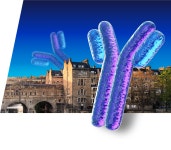 [R&D Systems] Antibody Validation, 이제 Bio-Techne가 기준입니다 | 연구용제품 > Bio마켓 | BRIC