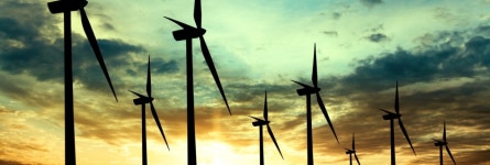 Dead rabbits found at Iowa wind farm likely used to lure and kill eagles