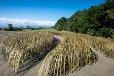 “The Season of the Wind” by Grid.atelier | Inhabitat - Green Design, Innovation, Architecture, Green Building The Season of... 