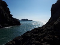 여차 감시가 나르샤~2