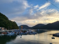 (거제대어선외기) 거제내만 마리수의 갑돌이, 감성돔 조황입니다