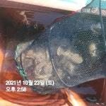 (고흥 여명호) 씨알 좋고 기분좋은 돌, 갑돌이 사냥~!