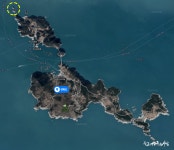 통영 연화도 돌돔 vs 무늬오징어 통영 연화도 돌돔 vs 무늬오징어