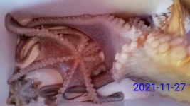 진해 대명호)2명 거제 잔잔 낼 예약가능