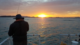 장흥회진 쭈꾸미