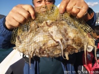 태진피싱)쭈꾸미, 갑이 조항 좋습니다