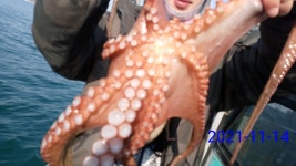 진해 대명호)11명 거제 잔잔 (내일예약가능)