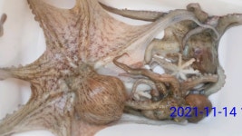 진해 대명호)11명 거제 잔잔 (내일예약가능)