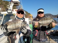 (감성돔) 47,44,43외 참돔5짜 흘림조황