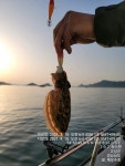 밤볼락 루어,카드낚시 좋아요/금일 예약중 자리많아요~~