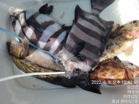 당일 철수팀 조황 입니다.