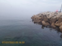 감포바다 기상 및 조황정보(벵에돔)