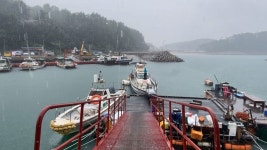 문어 초보가 손맛 보고 왔습니다.~ 대박~