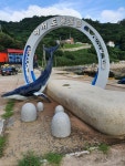 여서도! 벵에돔 돌돔 마릿수 굿 조황