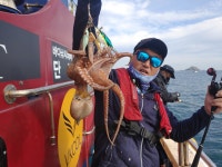 10/21 격포 영진피싱호 문어 조황입니다~!!!