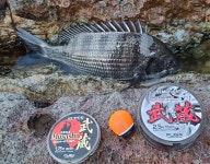 감성돔 !!!! 꼬소하이 맛이 좋습니다^^