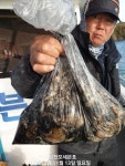 [삼천포세븐호] 쭈꾸미. 갑오징어 조황
