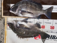 아구~ 아구~ 아구야~~~