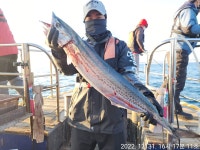 장성2호) 22년도 마지막날 오후 나이스하게 마무리 조황 했습니다^^