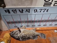 할배 우럭 체포하러 출동합니다.