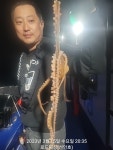 (로드변여사)낙지실시간~,드뎌 스타트!!