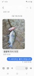 하누리호]좋은 기상에 현재 즐낚중(낼 새벽4시 오후2시 출항)