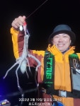 (로드변여사)야간낙지,재미가 쏠쏠합니다~