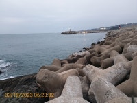 감포바다 기상 및 조황정보