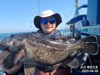 군산우럭선상낚시 찐한 손 맛의 조황~! -군산새만금낚시 레전드호-