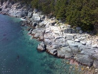 지세포 옥림 벵에돔 탐사 다녀 왔어요..