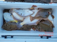 4월 28일 울진 죽변항 삼흥호 참가자미낚시