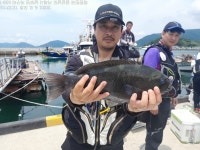 [매물도][구을비도]"대물벵에 47cm.45cm.42cm.41cm 외 46.37.36.35뺀찌들 등등 [매물도][구을비도]'대물벵에 47cm.45cm.42cm.41cm 외...