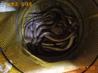 원전 등대호 - 야간 돌장어조황입니다