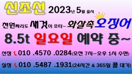 화살촉오징어 오늘 일요일도 신조선이 달립니다~ 절찰리 예약중~~조선의 나이킥~