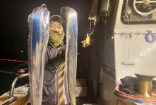 [여수해호낚시] 금어기전 마지막 갈치 다녀왔습니다 (내일부터 한치자리여유)