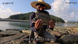 물양장, 사등 고기 붙었어요!