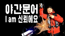 야간 문어 낚시 마린보이호는 신뢰에요 지금 달리세요