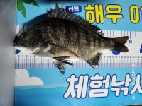 오후에 탐사다녀왔어요