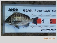 해금강 송년 감성돔49,48,47Cm와 출조공지