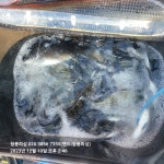 하동 신노량 청풍피싱 초대박 조항