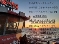 미조 낚시천국 인테샤 G5 3대 이벤트~~