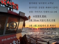 미조낚시천국 인테샤 G5 2대 이벤트~~