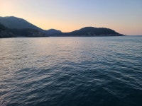 금오도 영등감시