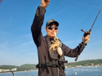 일요일도 쭈꾸미